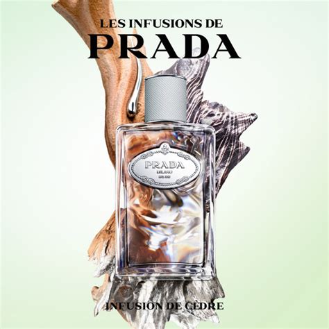 infusion rose prada|Prada infusion cedar.